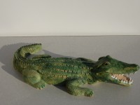 /album/galerie-photos/crocodile-4-jpg/